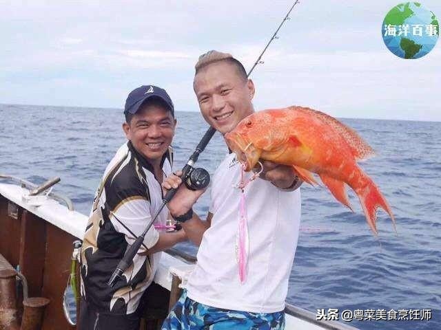 名贵海鲜食材排名,名贵海鱼大全图片