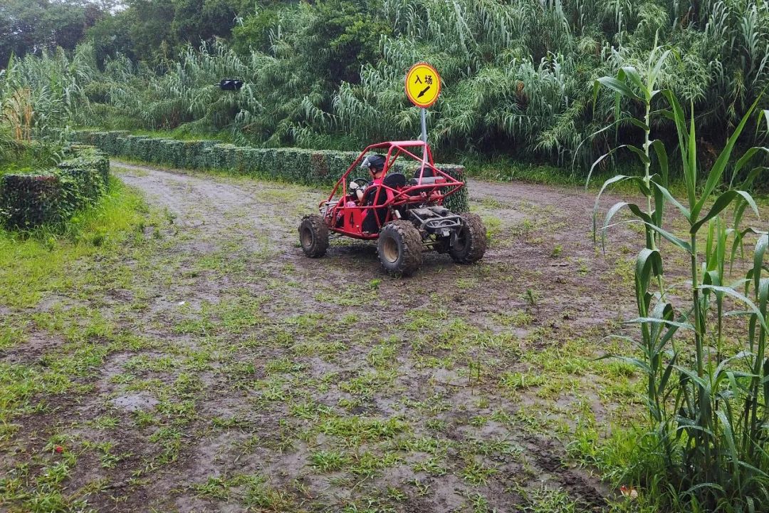 带你走进沙家浜景区,带你走进沙家浜风景区