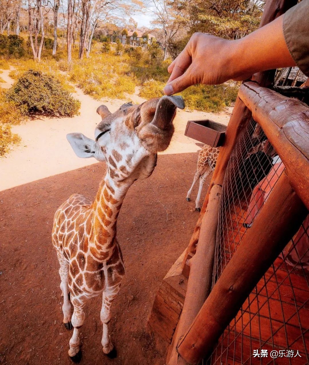 一定要去的五十个最美的地方中国,一生中必去中国100个最美的地方