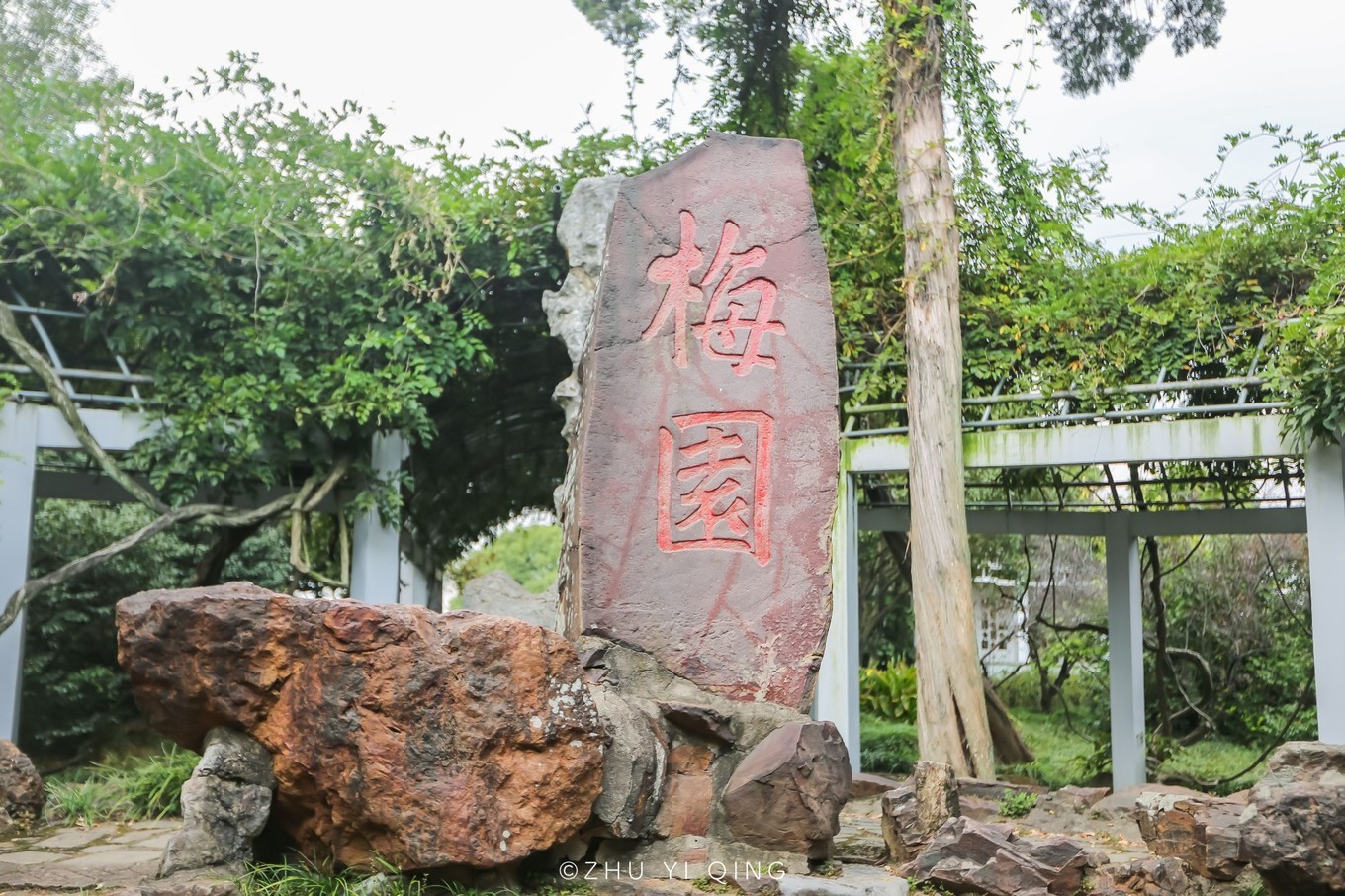 无锡梅园不只能赏梅，初秋近万亩百合花海盛放，小姐姐直呼太美了