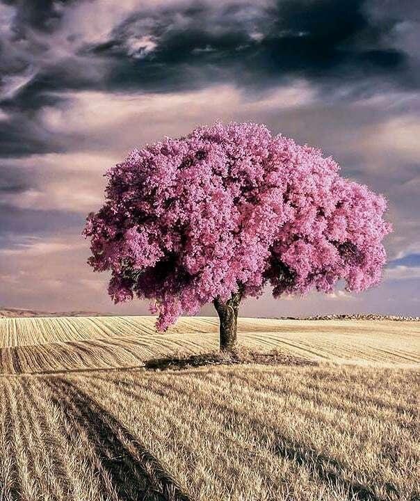 简短有深度的爱情句子语录情感,精辟到极致的爱情句子集锦