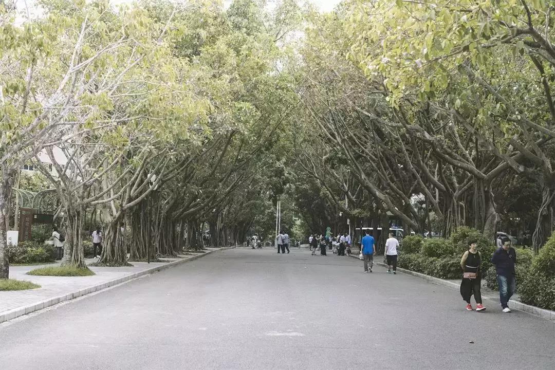 深圳市一日游攻略最佳路线,深圳一日游详细攻略大全最新