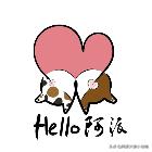 盖雪：信女愿一生荤素搭配，祈望这只拆家啊不，旺家猫找到新家