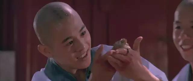 最新拳拳到肉动作片,香港动作片深度解析