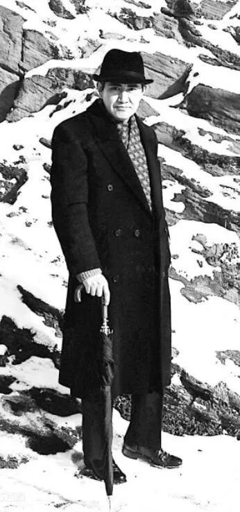 #星光教师计划#《木心文集》读书笔记