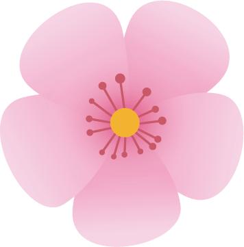 第五届中国创翼创新创业大赛全程,第五届中国创翼创新创业大赛