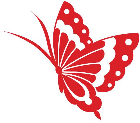 没看错，这场比赛选手平均年龄超70！