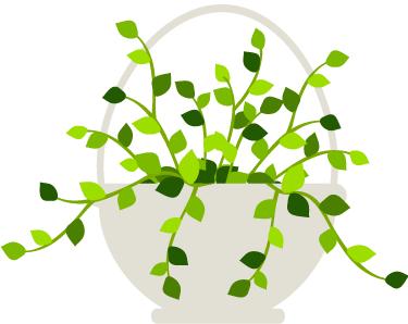 “护江”检察官的“大鱼梦”