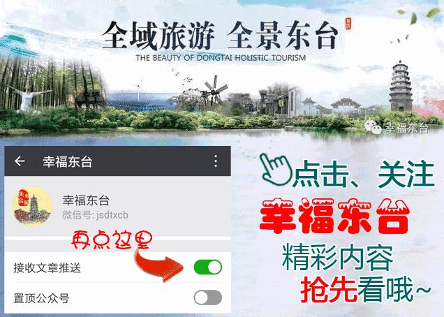 车购税完税证明办理手续,购置税完税证明纸质版
