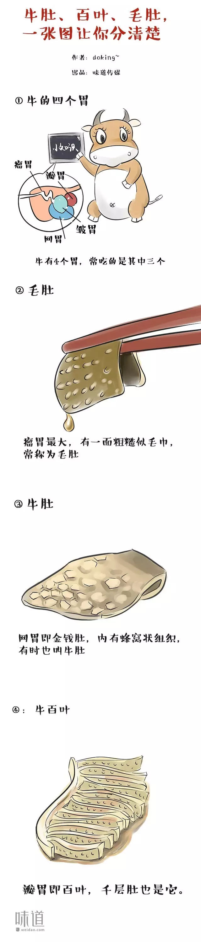 一分钟看懂毛肚和百叶有什么区别,毛肚和百叶怎么区分