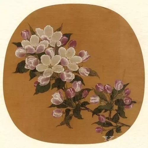 故宫百年荷花开花,北京故宫荷花开了么