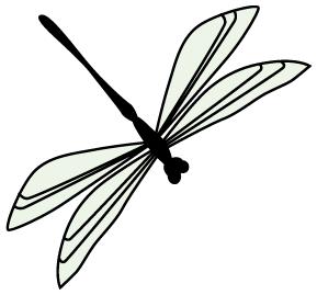 「预告」电波里的好医生：月经病的中医诊治