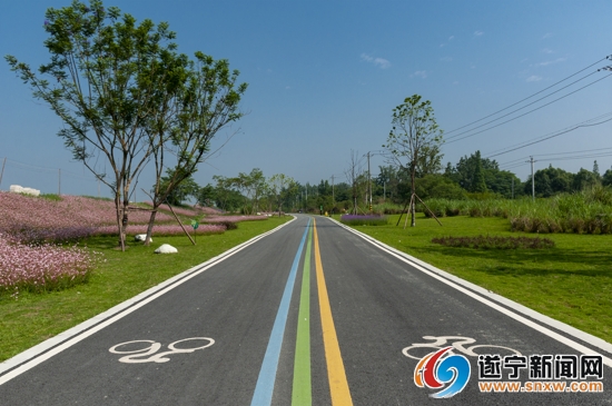 全省政务新媒体大咖来访点赞！温江到底有啥魅力？