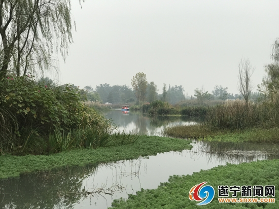 全省政务新媒体大咖来访点赞！温江到底有啥魅力？