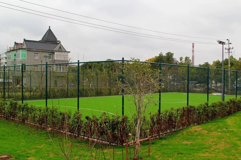 嘉兴市秀洲区区长杯足球联赛,区长杯足球比赛报道