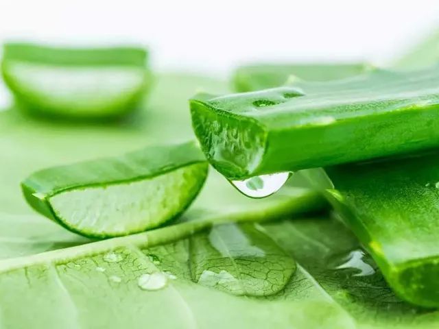 拼团｜富含金缕梅精华的爽肤水