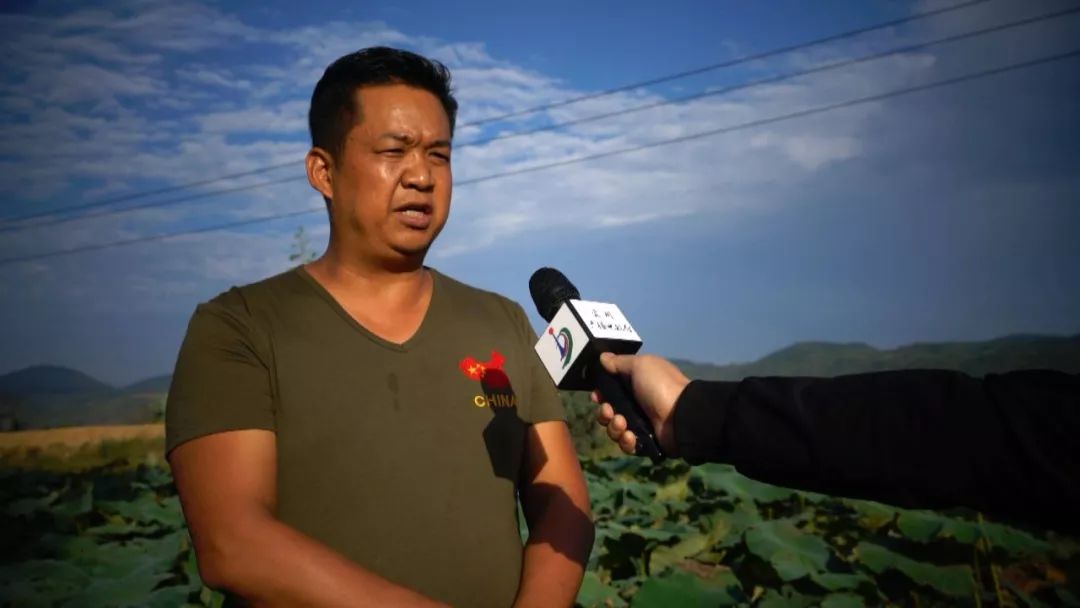 全面清理养殖网箱,水域取缔网箱养殖