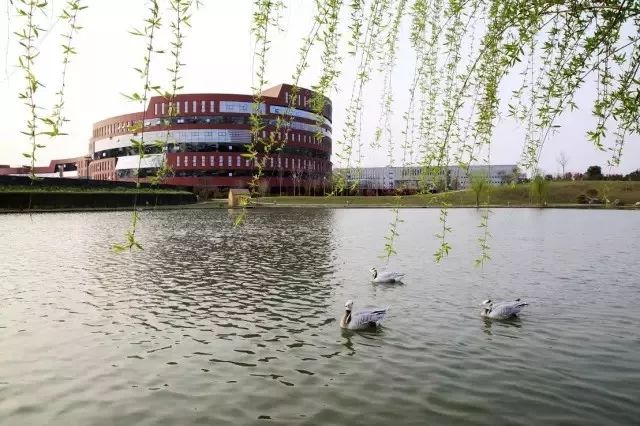 南京市三胞集团总部,南京新街口三胞集团