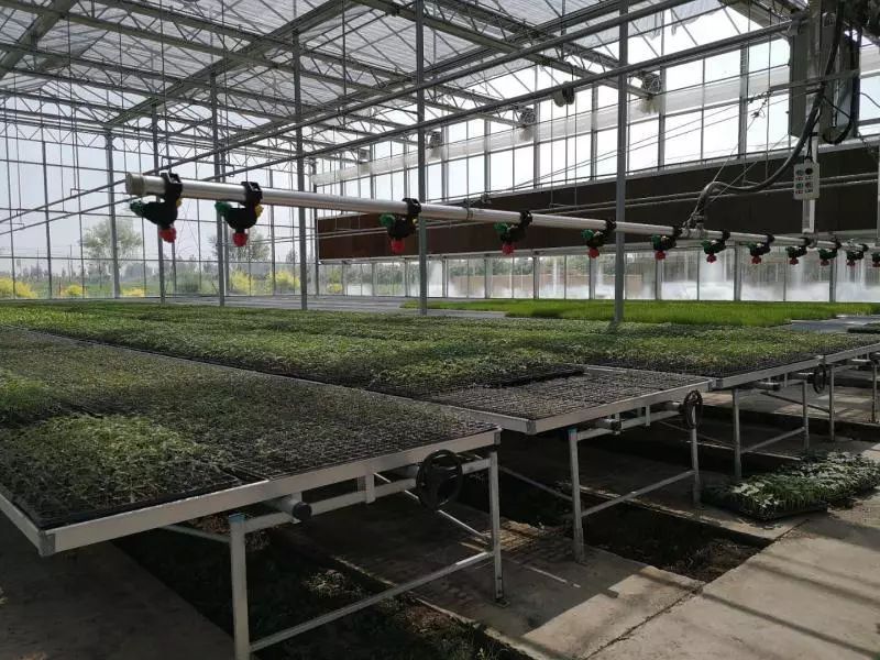 恒大品牌故事,辽宁足球故事完整版