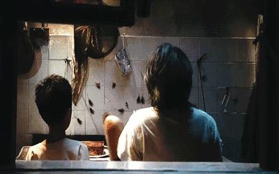 轻轻一贴蟑螂一窝端,广州蟑螂怎么消灭