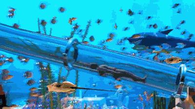 上海深坑酒店攻略,上海深坑酒店有多少房间