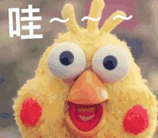 还在集五福？不如来抢这个酒景大礼包，抢到就是赚到