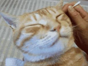 全国爱耳日｜耳屎，掏，还是不掏？