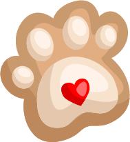 初五迎财神实用技能好运篇,初五迎财神教你新年怎样转财运