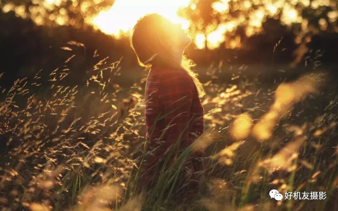 摄影器材初学者教程,摄影新手如何选择器材