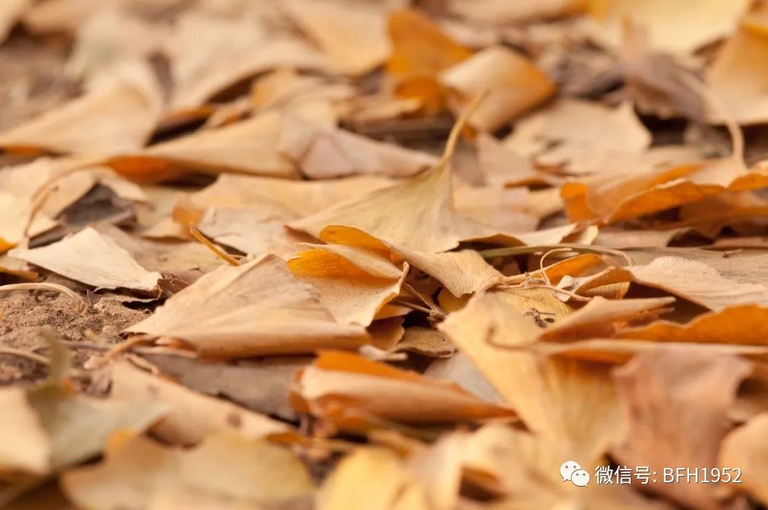 「友谊科普」尿道炎为何反复发作