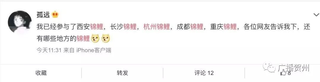 广西人要小心了！“XX锦鲤”刷爆朋友圈，调查：这可能是*局骗**