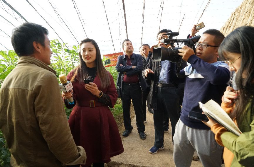 用它一茬多赚近2万：种地老把式再不愁销路，经销商惊叹这产品要火！