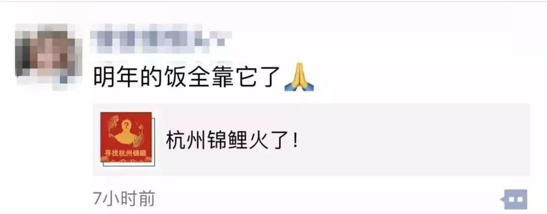 中国锦鲤的套路有哪些呢,中国锦鲤怎么火起来的