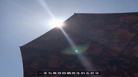 英国皇室伞,英国皇室御用伞