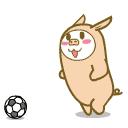 中关村联赛,中关村杯决赛