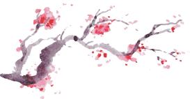 【方志四川•传统文化】朱丹‖古诗词中的“那些花儿——牡丹