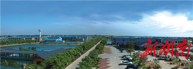 长沙聚焦乡村振兴实践活动,长沙聚焦乡村振兴方案最新