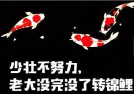 为什么中国锦鲤这么火,锦鲤红包骗人套路