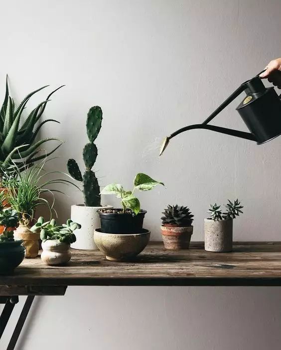 茶里加什么比较好喝一点,茶里面加什么比较好喝一点