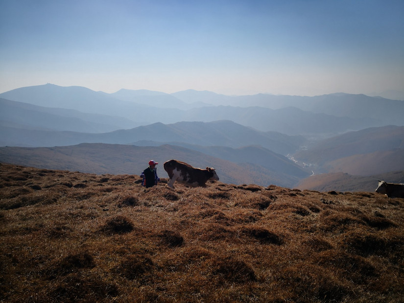 朝拜五台文殊菩萨,大朝台朝拜五方文殊门票