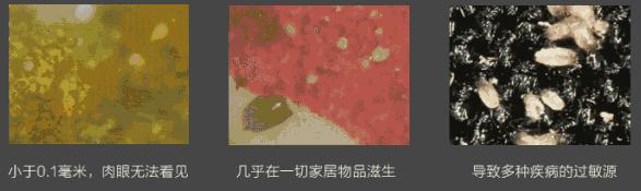 鼻头痘痘挤出来的白色物质是什么,团状红痘痘