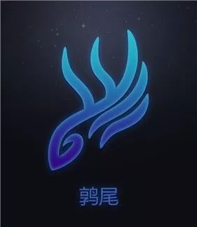 生日是阴历12月19日是什么星座,阴历生日1月13日是什么星座