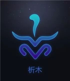 生日是阴历12月19日是什么星座,阴历生日1月13日是什么星座