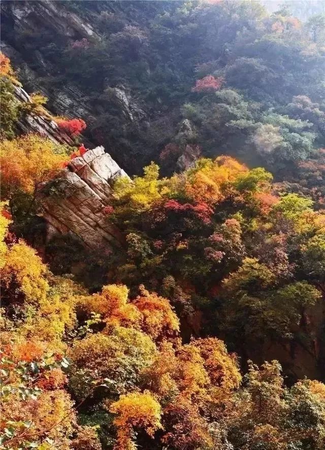 河南秋天最美红叶景区,太美了河南景观