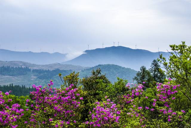 浙江安缦度假酒店,杭州顶级酒店安缦