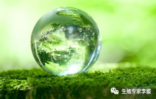 做试管婴儿卵泡少要怎么办,试管婴儿一侧卵泡12个