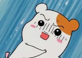 活久见！昆明一对夫妻骑车上高架拍婚纱照网友：奇葩本葩