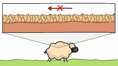 毛衣起球的原因是什么,毛衣起球说法
