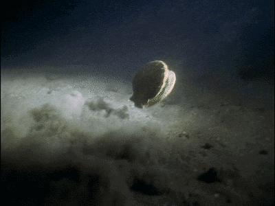 鬼知道我经历了什么小说在线看,鬼知道我经历了什么txt完整版