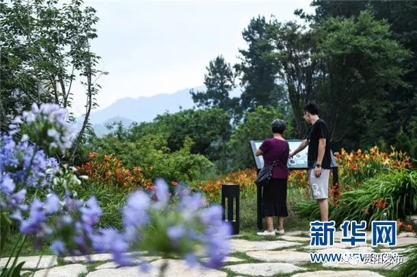 黔行40年贵阳篇,贵州贵阳黔行